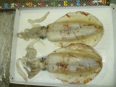P1000992