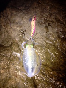 Image05