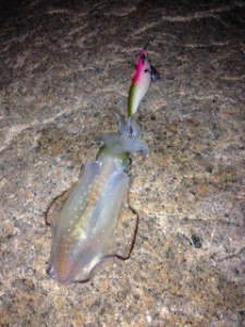 Image08