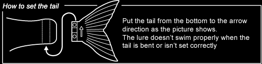 tails set instructions