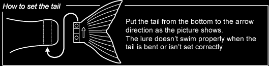 How to set the tail