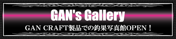 Gan's Gallery ��ﾊ�